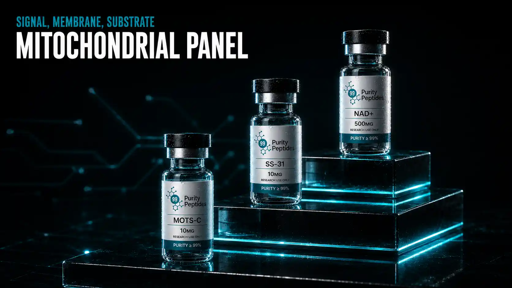 Mitochondrial Research Panel
