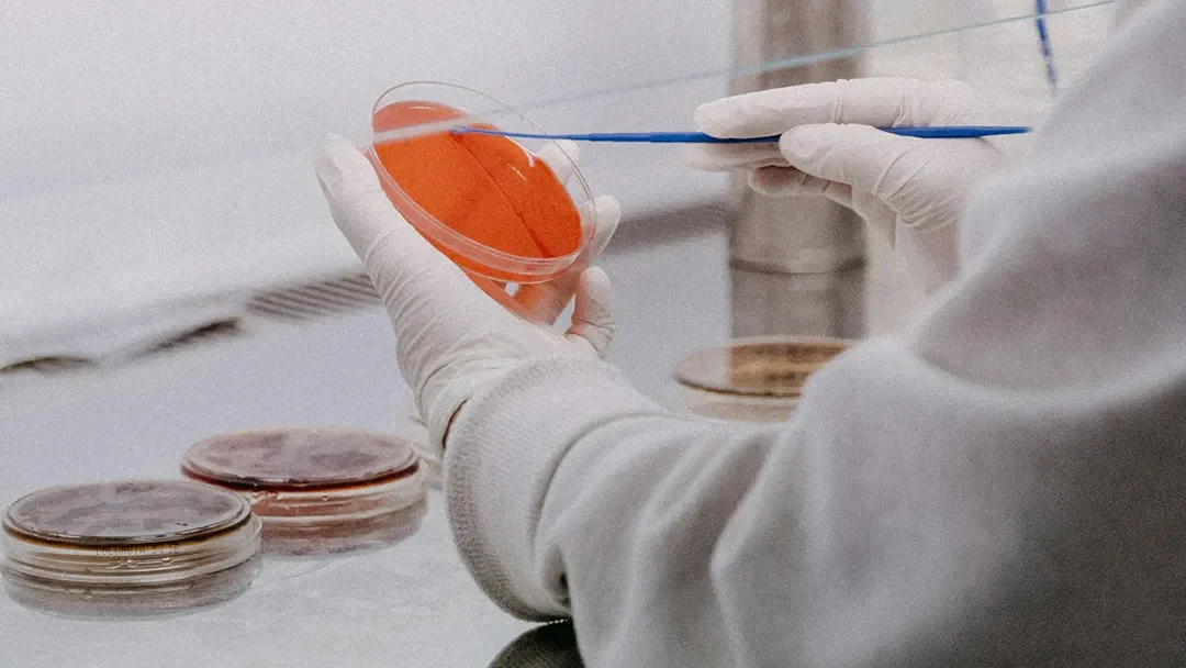 Retatrutide and Cancer Cell Research: What Preclinical Studies Are Showing