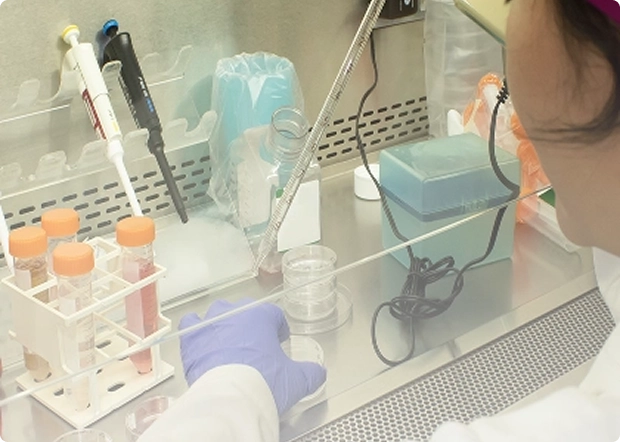 Receptor Agonist Research